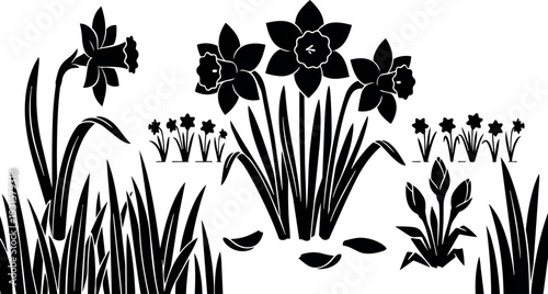 Silhouette vector close up cluster of daffodil flowers and leaves in stylized meadow with falling petals calm black spring composition
