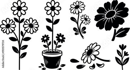 Flat design floral daisy vector set multiple stem flowers potted flower with fallen petals side view single large silhouette black