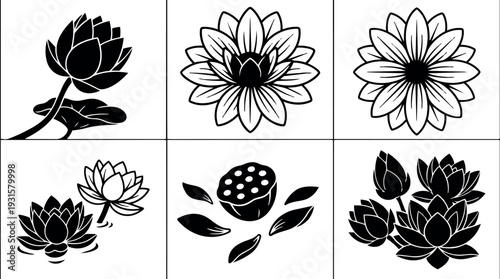 Minimalist black vector lotus flower icon set six panels close up petals seed pod leaves symmetrical line oriental silhouette art