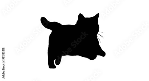 Elegant silhouette of a black cat in a relaxed pose against a plain background
