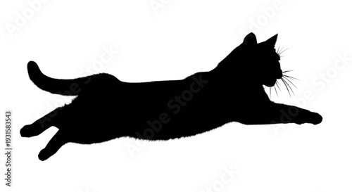 Graceful black silhouette of a cat in mid-leap against a stark background
