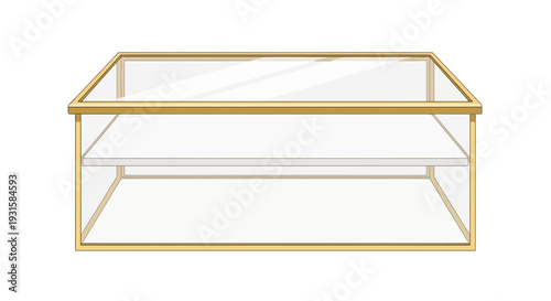 Elegant Rectangular Glass Display Box with Gold Metal Frame.