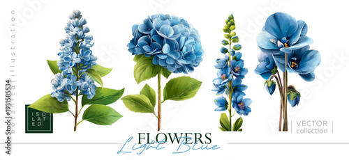 Hand drawn set of light blue flowers: lilac, hydrangea, delphinium, cyclamen. Vectorized hand drawn gouache illustrations. Illustrations in the style of vintage painting and botanical illustration