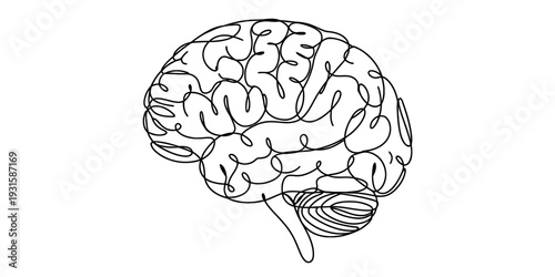 A black and white line drawing of a human brain showing various lobes and folds on a white background