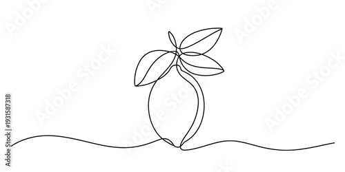 Continuous line drawing of a fresh lemon with leaves on a simple wavy ground line. Vector, illustration
