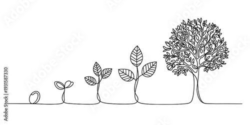 Single line drawing illustrating the life cycle and growth stages of a tree from seed to maturity. Vector, illustration