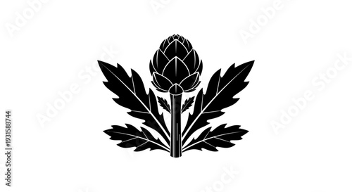 Black and White Thistle Illustration Graphic Design.