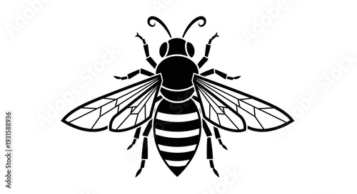 Black and White Bee Illustration.