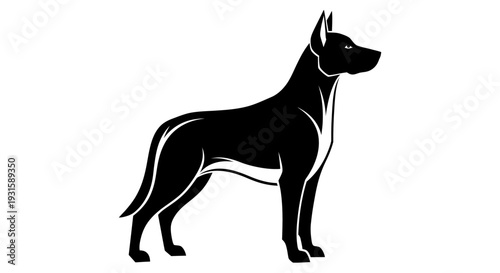 Black and White Illustration of Doberman Pinscher Dog.