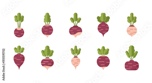 A colorful illustration of various beets and radishes on display