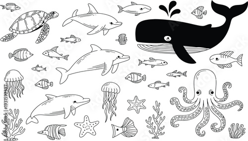 Marine animals vector illustration set, ocean sea life collection with whale dolphin octopus fish line art design