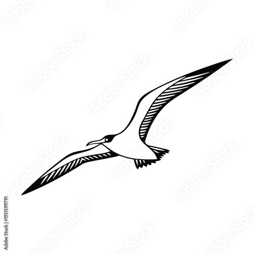 Vector seagull flying icon