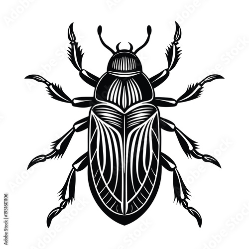 Black beetle vector illustration