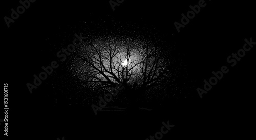Mysterious Gnarled Tree Silhouette with Glowing Moon and Starlight on Isolated Black Background