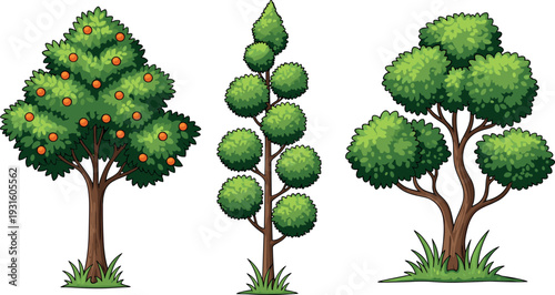 Cartoon green trees and fruit tree illustration set with orange tree and decorative garden plants isolated vector collection for nature landscape design