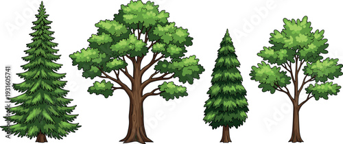 Cartoon forest tree collection with pine tree and leafy green trees isolated vector illustration set for nature landscape design and environmental decoration