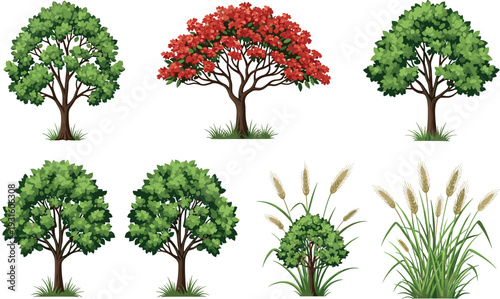 Collection of green trees, flowering tree and grass plants vector illustration set, detailed nature foliage isolated on white background for landscape design