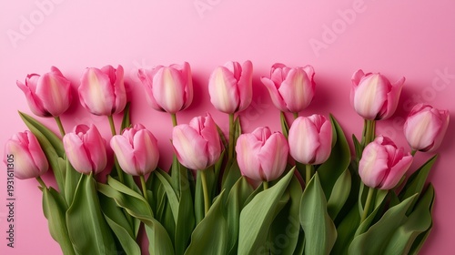 Pink Tulips Arranged on a Pink Background in a Simple Display for Decoration