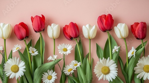 Bright Tulips and Daisies Arranged Together in a Floral Display During Spring...