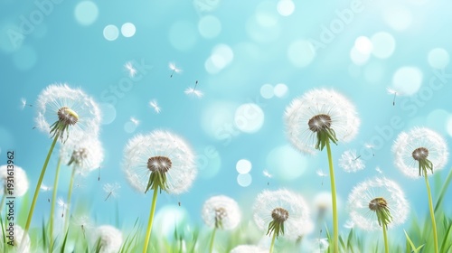 Dandelions in a Green Field Sway Gently Under a Bright Blue Sky