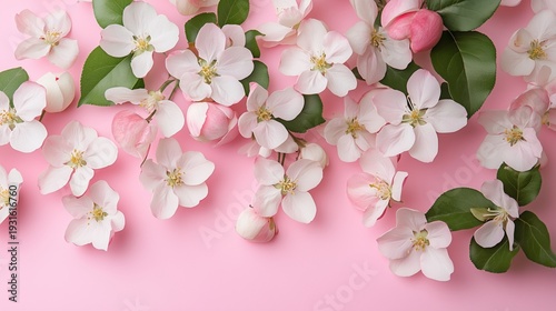 Flowers Lay on a Pink Surface Showing Details of Petals and Leaves in a Natur...