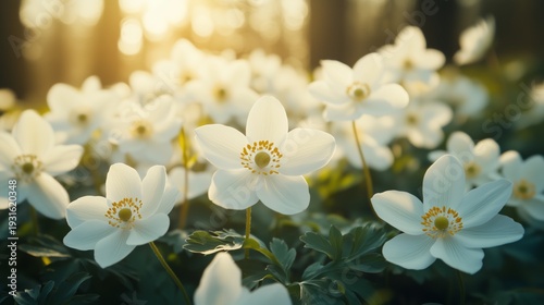Flowers Bloom in the Sunlight Among Green Leaves in a Forest Setting During S...