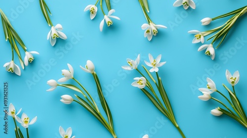 White Flowers Arranged on a Blue Surface for Decorative Purposes in a Simple ...