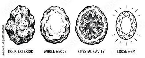 Geode formation stages and loose gemstone drawing with rock exterior and crystal cavity