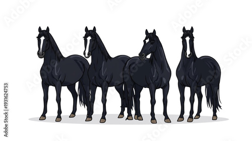 four horses standing proudly and beautifully