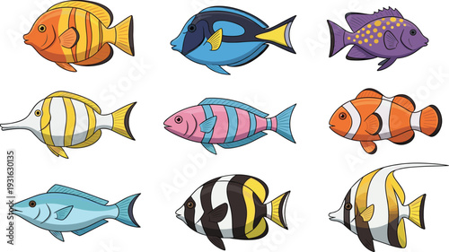 Tropical fish collection vector illustration colorful marine aquarium species set exotic ocean animals isolated design