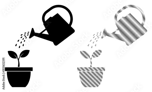 Nurturing growth with a watering can, symbolizing new beginnings and care for a small plant.