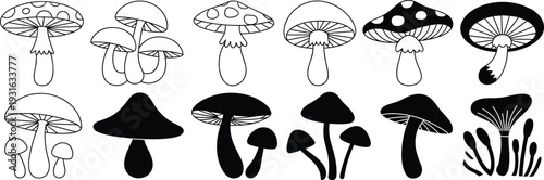 Stylized mushroom silhouettes and outlined designs in diverse shapes, botanical black illustration collection for nature, fungi, and art projects
