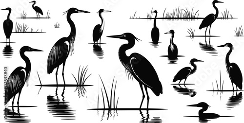 Black Heron Silhouettes Standing in Wetland Marsh Water with Reeds and Reflections Vector Illustration Collection Set