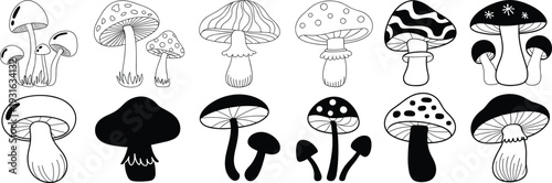 Stylized mushroom silhouettes and outlined designs with decorative caps, botanical black and white illustration collection for fungi and art projects