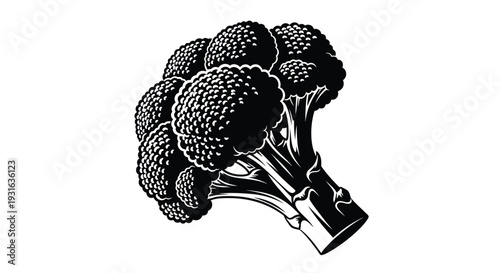 A striking black and white illustration of a fresh broccoli floret