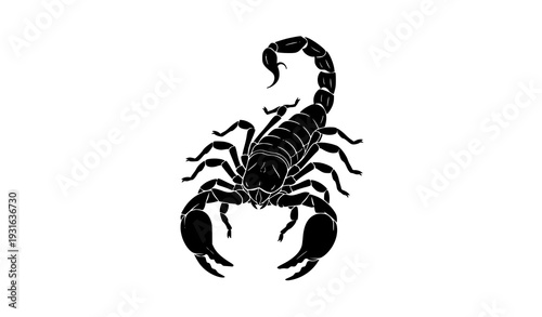 Minimal Emperor Scorpion Logo Vector Icon