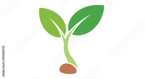 A vibrant green sprout emerging from a brown seed symbolizing new life