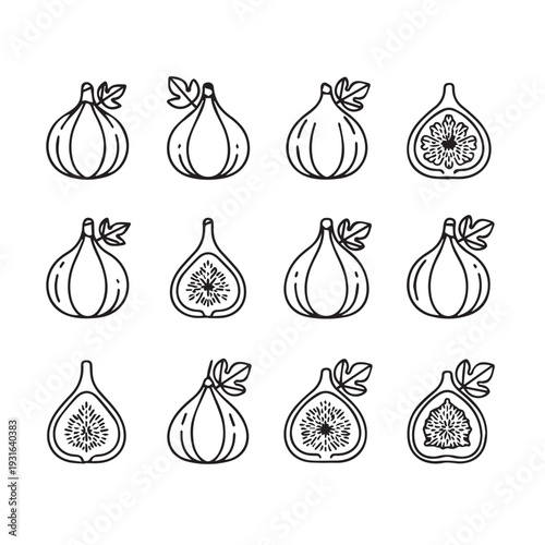 Collection of stylized fig icons whole and halved with leaves set against white background