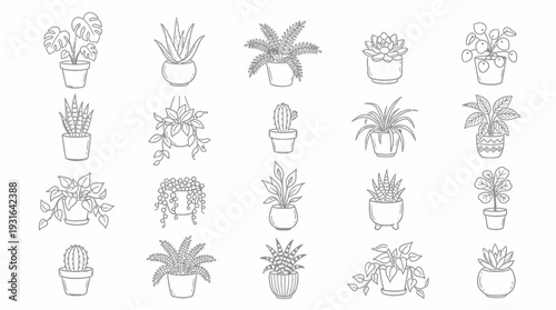Hand Drawn Houseplants Doodles Potted Plant Line Art Collection