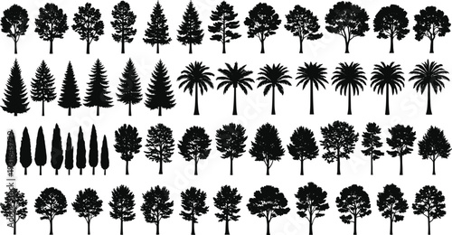 Tree Silhouettes Collection, Vector Icons of Pine, Palm, Oak, Cypress, Forest Nature Elements, Isolated Black Shapes for Landscape and Graphic Design