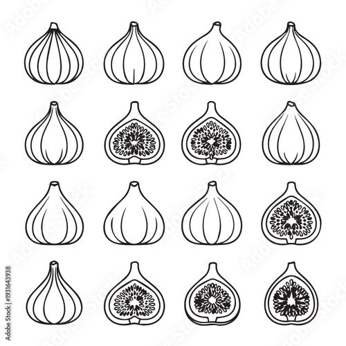 Collection of whole and halved figs in a grid line art simple illustration food concept