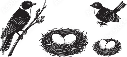 Birds and Nests in Black and White Illustration Style