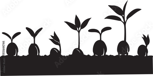 Silhouette of young plants growing in soil, isolated on white