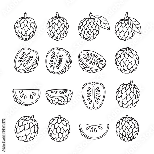 Custard Fruit Collection: Whole Halved Sliced and Leafy Outline Illustrations