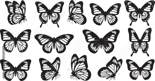 Collection of black and white butterfly illustrations on white background