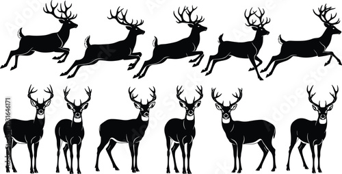 Deer illustration, wildlife silhouettes, motion and stillness, nature, forest, wilderness, animal behavior, predator prey, identity, culture, representation, creative, design, art, concept, character,