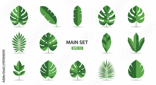 Collection of Various Green Tropical Leaves.