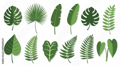 Collection of Various Green Tropical Leaves.