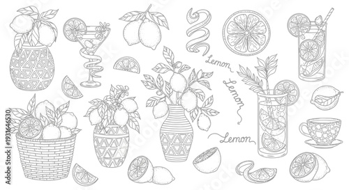 refreshing hand-drawn lemon illustrations featuring fresh citrus fruits drinks and botanical decor for diverse design.