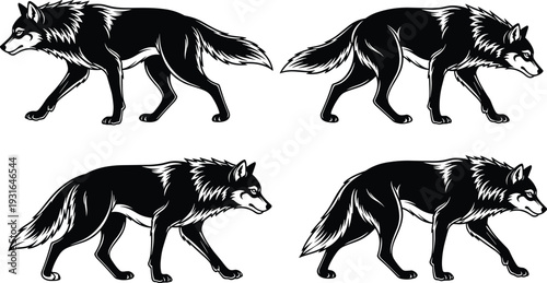 Wolf illustration, walking motion, animal silhouette, wildlife, nature, predator, forest, wilderness, identity, culture, representation, creative, design, art, concept, character, portrait, hunting,